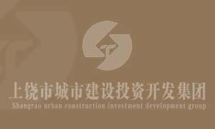 市城投开展党建活动深入推进“两学一做”