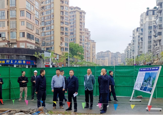 市政府副秘书长张平一行到我司项目现场开展调研