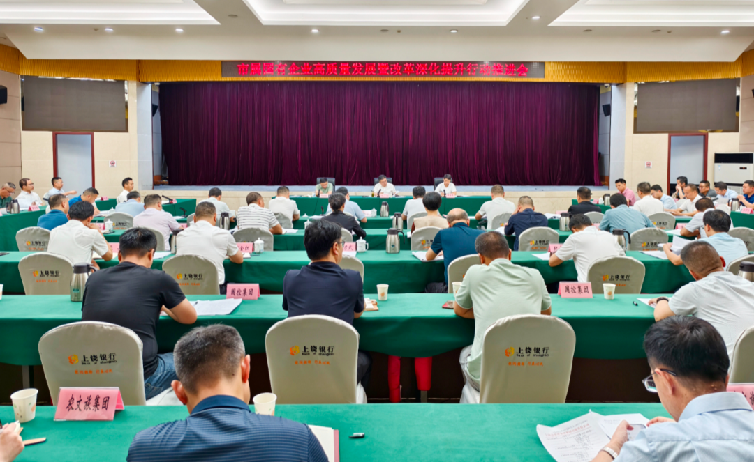 市属国有企业高质量发展暨改革深化提升行动推进会召开